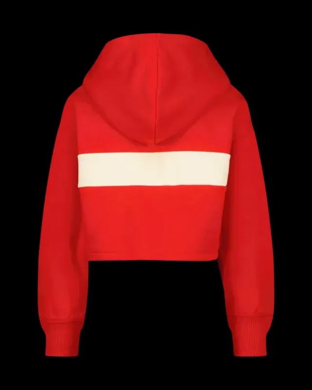 RAIZZED Hoodies En Truien<Hoody Aline