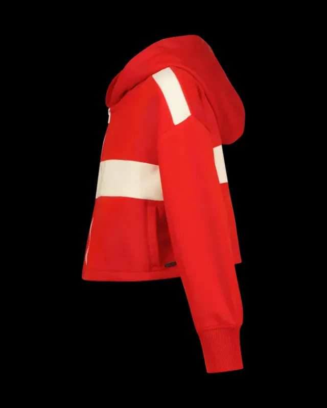 RAIZZED Hoodies En Truien<Hoody Aline