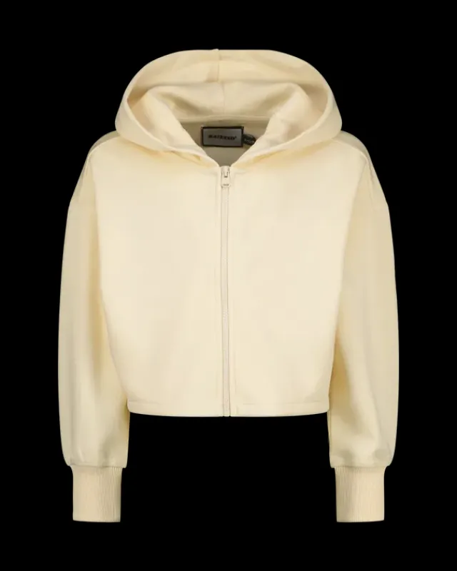 RAIZZED Hoodies En Truien<Hoody Alyssa