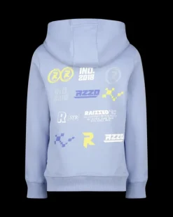 RAIZZED Hoodies En Truien<Hoody Narton