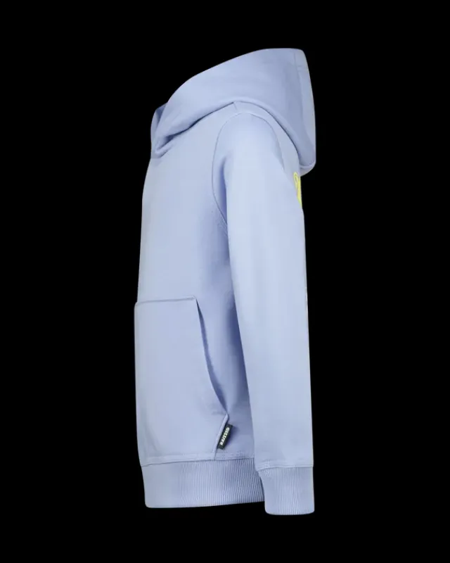 RAIZZED Hoodies En Truien<Hoody Narton