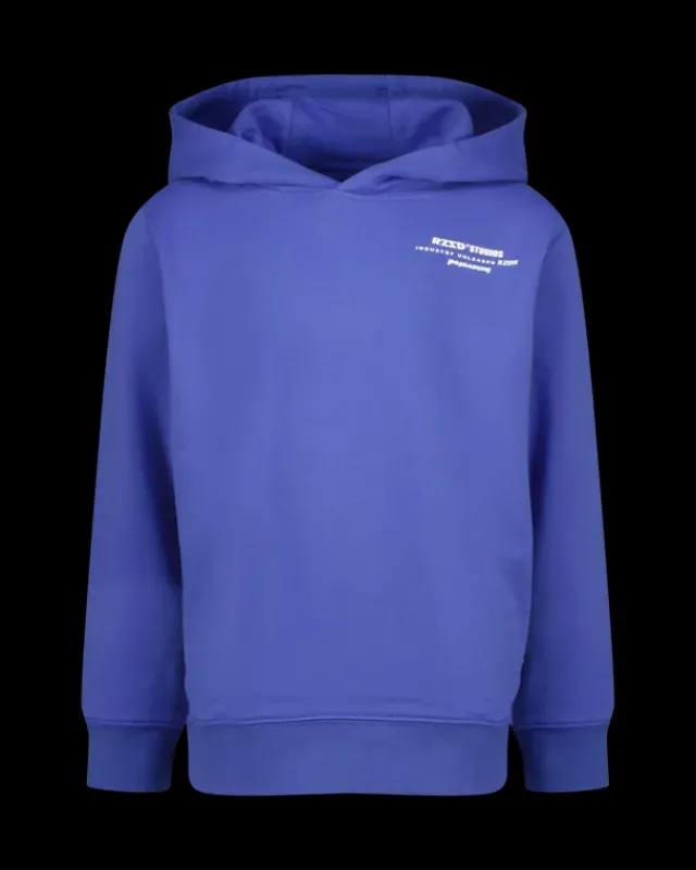 RAIZZED Hoodies En Truien<Hoody Navin