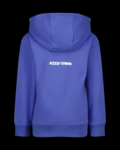 RAIZZED Hoodies En Truien<Hoody Navin