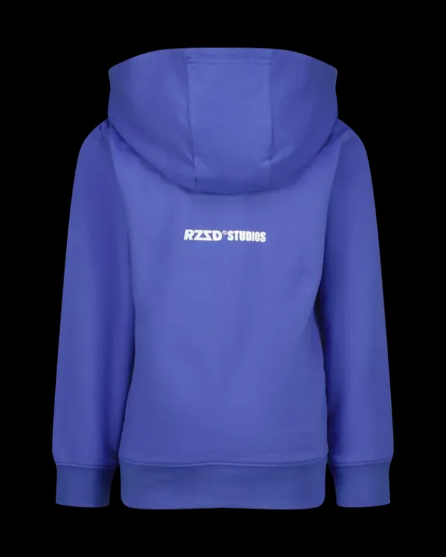 RAIZZED Hoodies En Truien<Hoody Navin