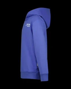 RAIZZED Hoodies En Truien<Hoody Navin