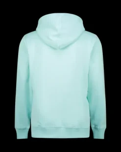 Heren RAIZZED Hoodies En Truien<Hoody Newton