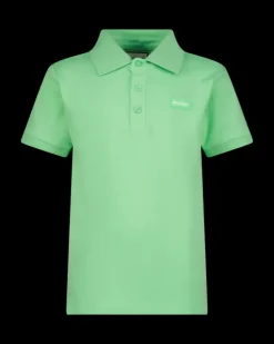 RAIZZED T-shirts En Polo's<Polo Hallow
