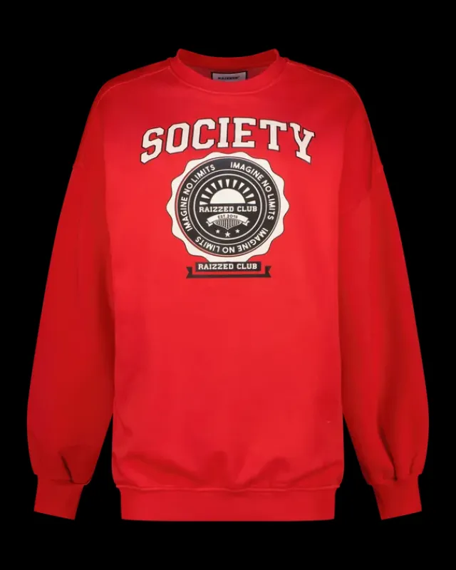 DAMES RAIZZED Hoodies En Truien<Sweater Aiva