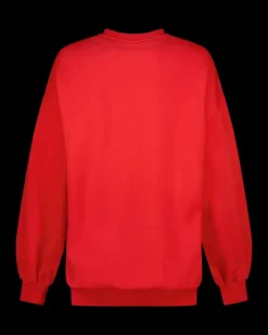 DAMES RAIZZED Hoodies En Truien<Sweater Aiva