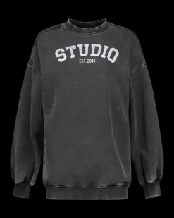 DAMES RAIZZED Hoodies En Truien<Sweater Aiva