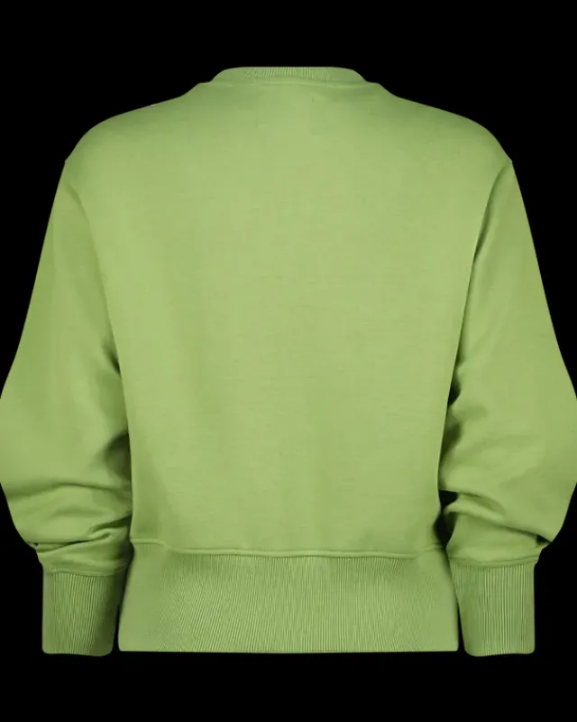 DAMES RAIZZED Hoodies En Truien<Sweater Lisanne