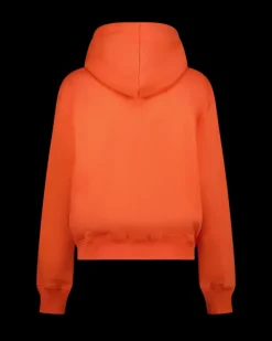 DAMES RAIZZED Hoodies En Truien<Sweater Nadine