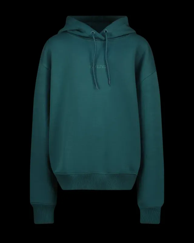 DAMES RAIZZED Hoodies En Truien<Sweater Nadine
