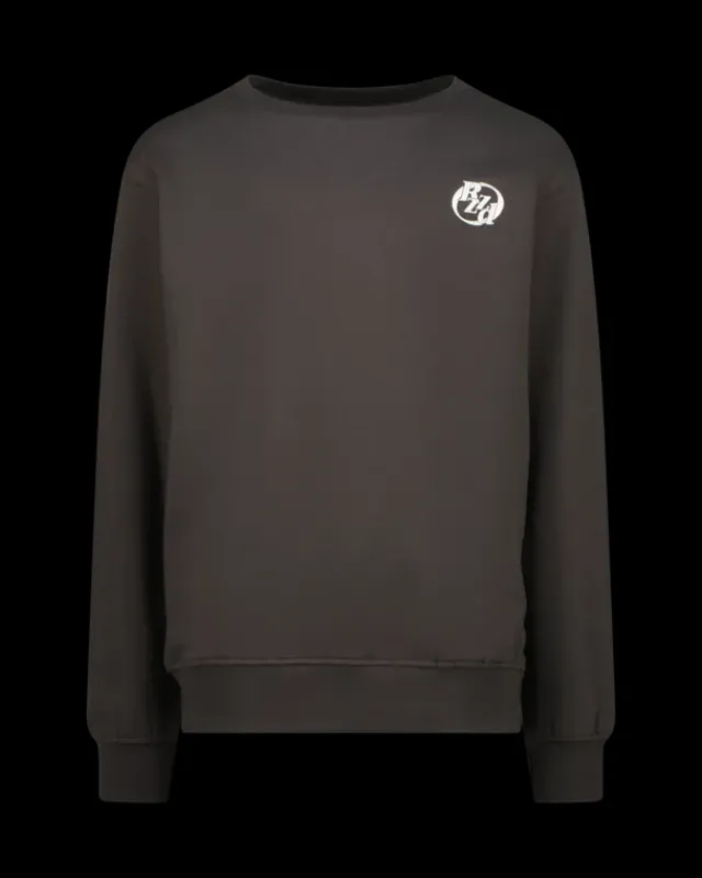 RAIZZED Hoodies En Truien<Sweater Nador