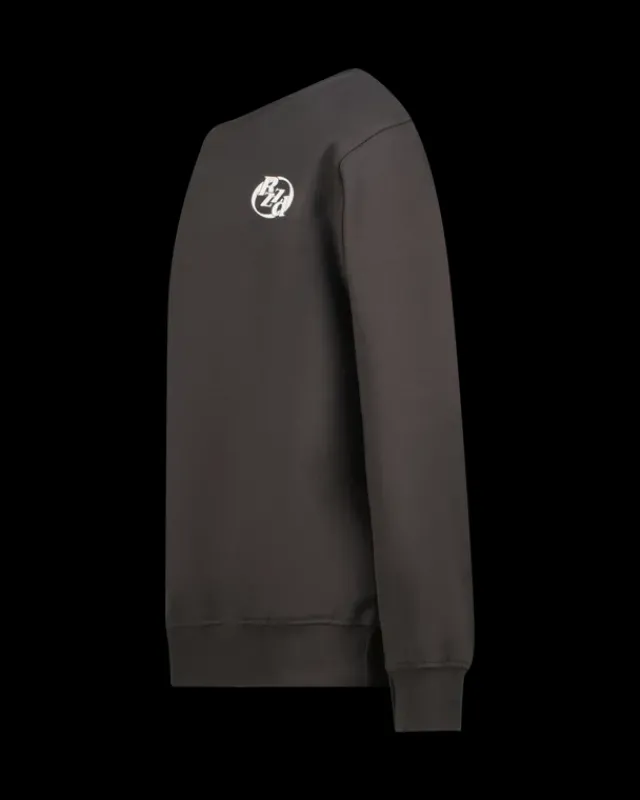 RAIZZED Hoodies En Truien<Sweater Nador