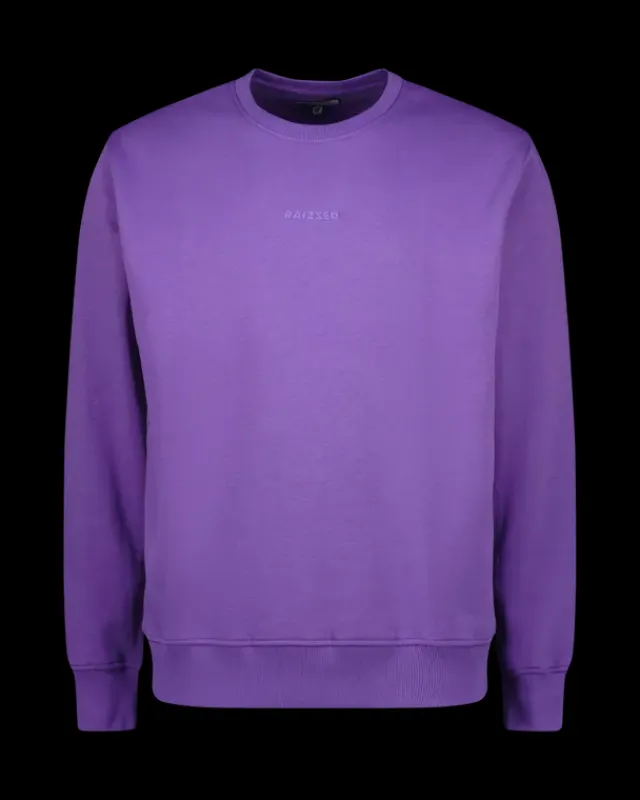 Heren RAIZZED Hoodies En Truien<Sweater Napels