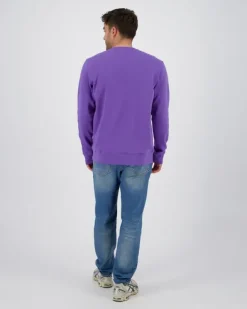 Heren RAIZZED Hoodies En Truien<Sweater Napels