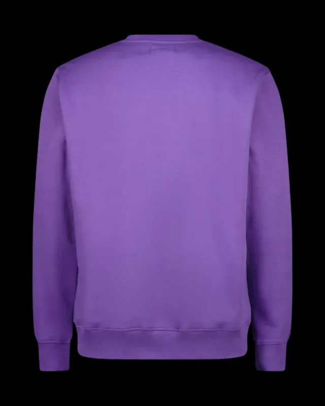 Heren RAIZZED Hoodies En Truien<Sweater Napels