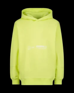 RAIZZED Hoodies En Truien<Sweater Nart