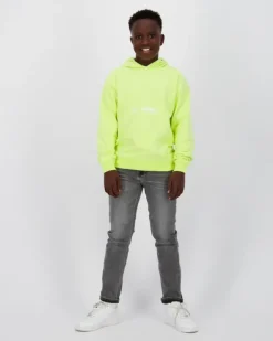 RAIZZED Hoodies En Truien<Sweater Nart