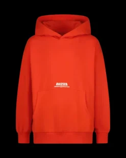 RAIZZED Hoodies En Truien<Sweater Nashed