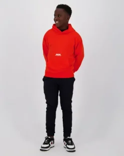 RAIZZED Hoodies En Truien<Sweater Nashed