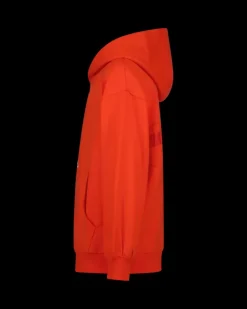 RAIZZED Hoodies En Truien<Sweater Nashed