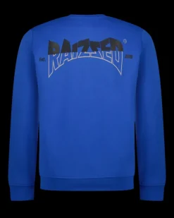 Heren RAIZZED Hoodies En Truien<Sweater Newport
