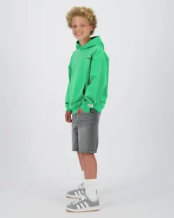 RAIZZED Hoodies En Truien<Sweater Newport