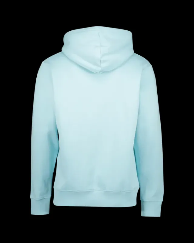 Heren RAIZZED Hoodies En Truien<Sweater Newton