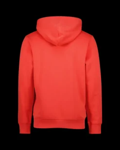 Heren RAIZZED Hoodies En Truien<Sweater Newton