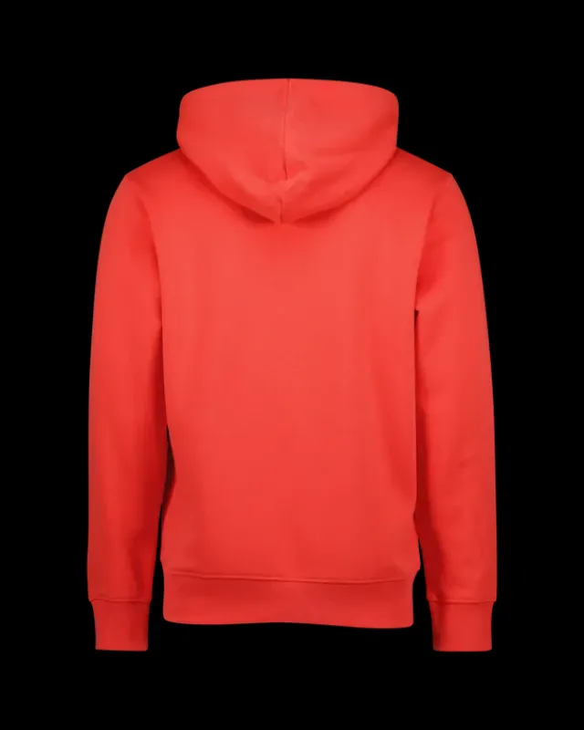 Heren RAIZZED Hoodies En Truien<Sweater Newton