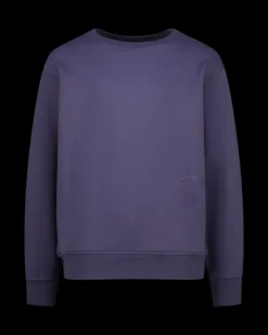 RAIZZED Hoodies En Truien<Sweater Nimes