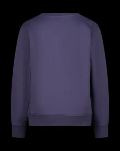 RAIZZED Hoodies En Truien<Sweater Nimes