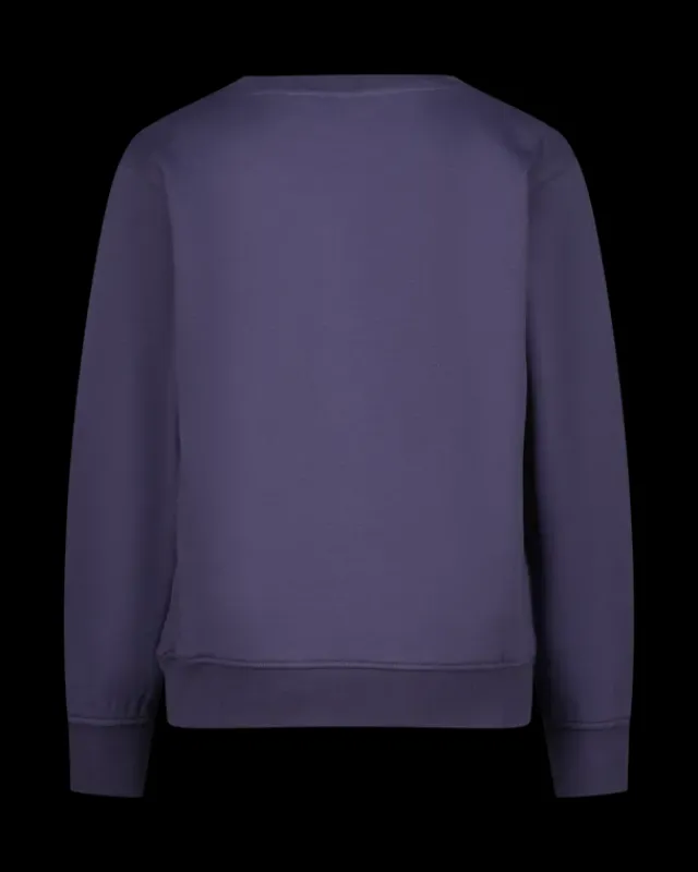 RAIZZED Hoodies En Truien<Sweater Nimes