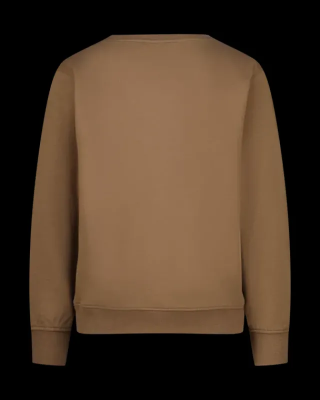 RAIZZED Hoodies En Truien<Sweater Nimes