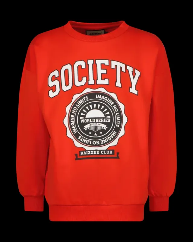 RAIZZED Hoodies En Truien<Sweater Nourie