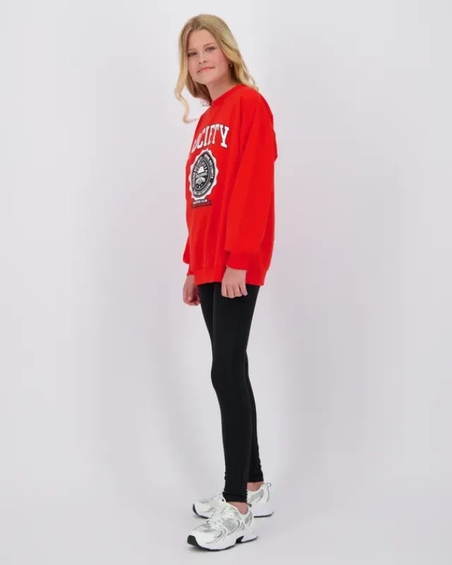 RAIZZED Hoodies En Truien<Sweater Nourie