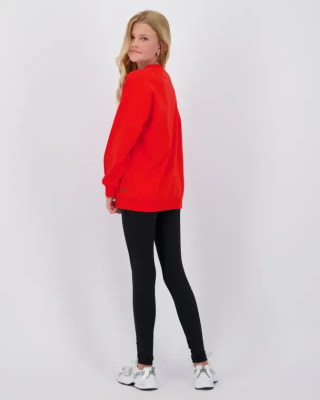 RAIZZED Hoodies En Truien<Sweater Nourie
