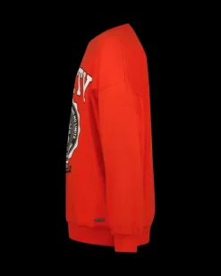 RAIZZED Hoodies En Truien<Sweater Nourie