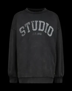 RAIZZED Hoodies En Truien<Sweater Nourie