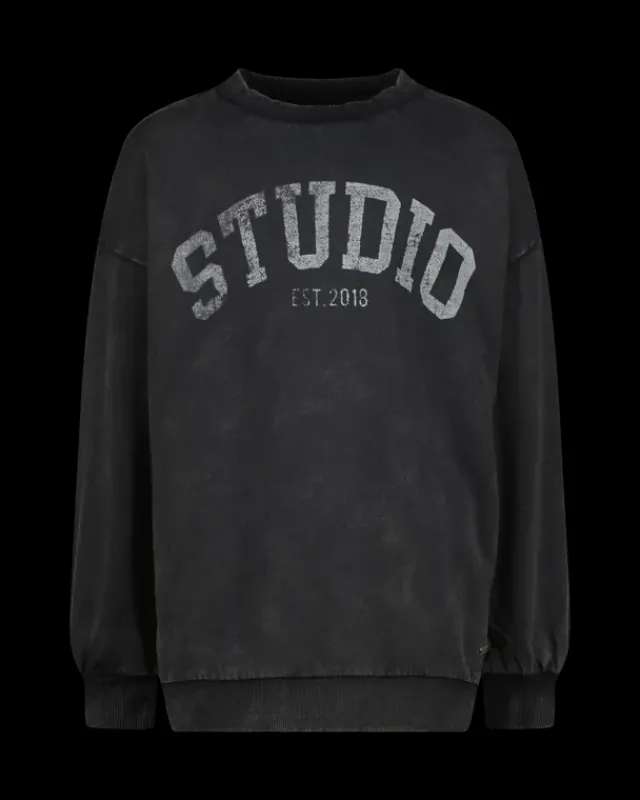 RAIZZED Hoodies En Truien<Sweater Nourie