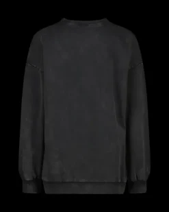 RAIZZED Hoodies En Truien<Sweater Nourie