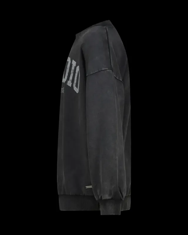 RAIZZED Hoodies En Truien<Sweater Nourie