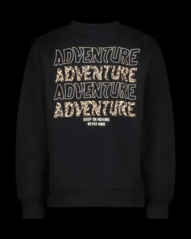 RAIZZED Hoodies En Truien<Sweater Nourie