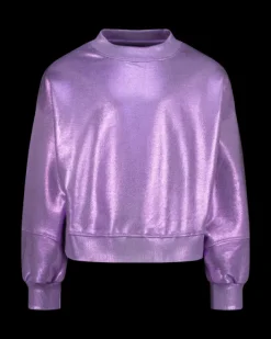 RAIZZED Hoodies En Truien<Sweater Renia