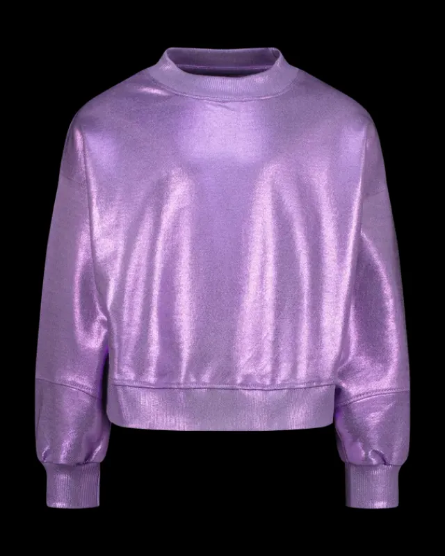 RAIZZED Hoodies En Truien<Sweater Renia