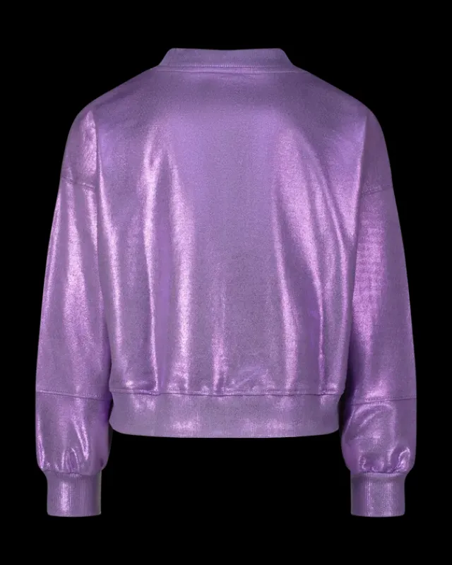 RAIZZED Hoodies En Truien<Sweater Renia