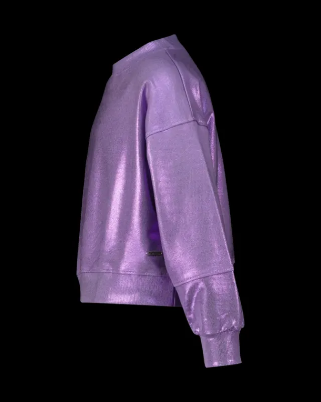 RAIZZED Hoodies En Truien<Sweater Renia