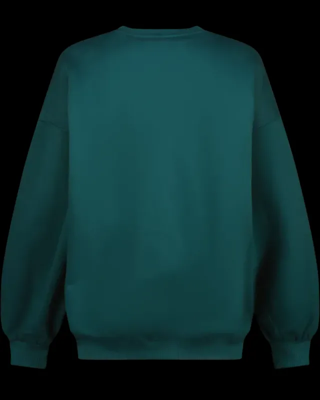 DAMES RAIZZED Hoodies En Truien<Sweater Riley